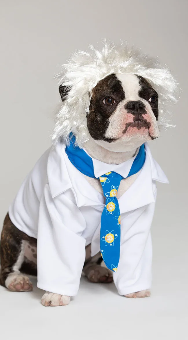 Al-bark Einstein Dog Costume