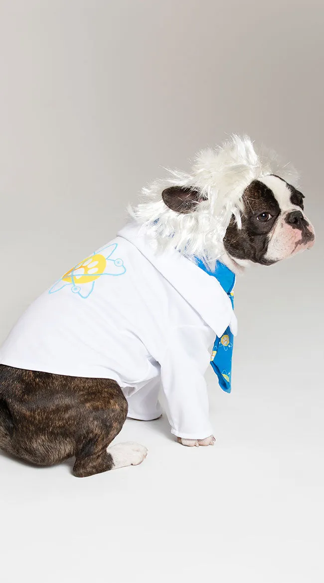 Al-bark Einstein Dog Costume